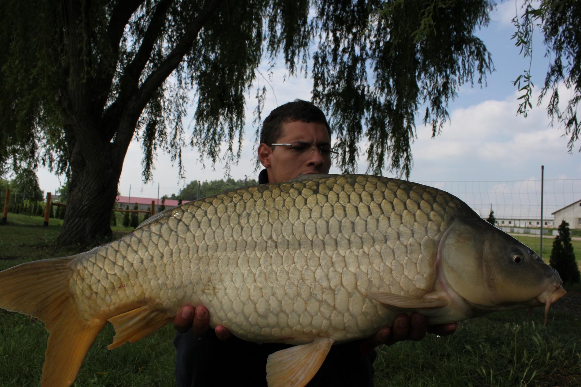 Mv2 Nagykallo - IMG_0723.JPG